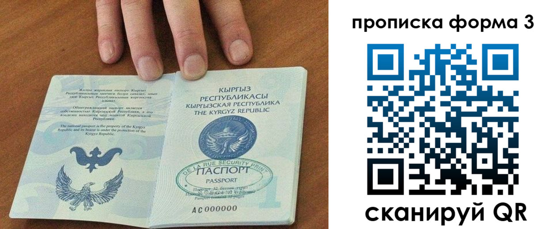 прописка 2025 в Пскове